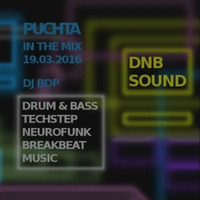 PUCHTA in the Mix - Drum and Bass Techstep Neurofunk 2016 by Puchta DNB