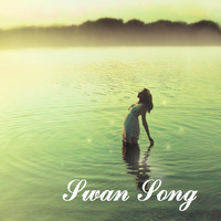 2011 - Swan Song - Part 1 by Le Lionceau