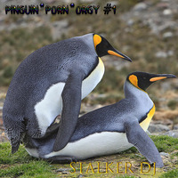 Stalker_dj - PinguinPornOrgy by Stalker_dj