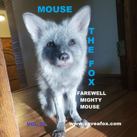 MOUSE THE FOX - FAREWELL MIGHTY MOUSE - VOL.20 - 04.11.2020 by MOUSE THE FOX