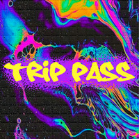 Trip Pass by 13h55