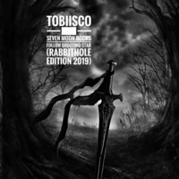 Tobiisco - Seven Moon Rocks Follow Shooting Star (Rabbithole Edition 2019) by Tobiisco