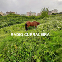 Jingles e Anúncios #2 | RÁDIO CURRALEIRA (2020) by RADIO TRAUMA
