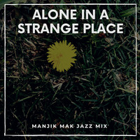 Alone in A strange Place- South African Jazz Mix by Makgotso Nkosi- Manjik Mak
