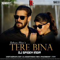Tere Bina (Salman Khan) Dj Spidey India by RemixGana.Com