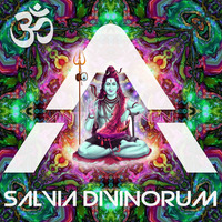 Divinorum (Original Mix) by Antorbanen