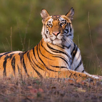 National Parks Of India - Indian Wildlife Sanctuaries by insideindianjungles
