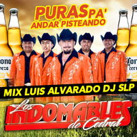 Puras Pa' Andar Pisteando Con Los Indomables Mix - Luis Alvarado Dj SLP by Luis Alvarado Dj SLP