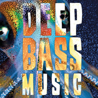 DeepBassMusic with Fluffa 2020-03-27 by Schlachthaus