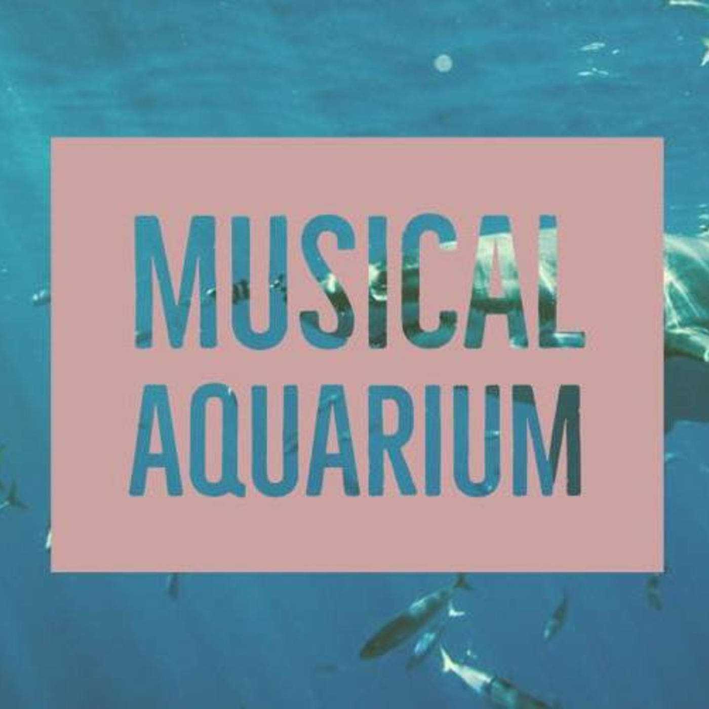Musical Aquarium #13