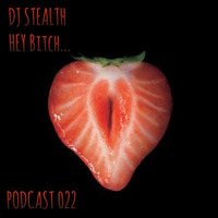 DJ Stealth - HEY bitch (Podcast 022) by DJ Stealth