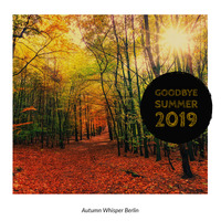 Autumn Whisper📡Berlin 2019 by Tom Wright