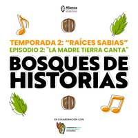 &quot;La Madre Tierra canta&quot; (Comarca Guna Yala, Panamá) by Bosques de Historias