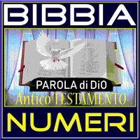 BIBBIA 04 NUMERI