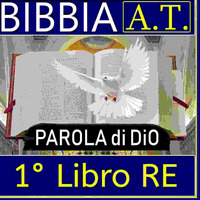 BIBBIA 11 1°RE