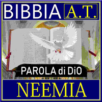 BIBBIA 16 NEEMIA