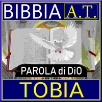 BIBBIA 17 TOBIA
