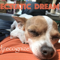 Ecstatic Dream by DJ Recognize