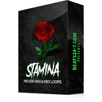 Beats24-7.com - Stamina | Trap Loops Pack (Preview Demo) by Beats24-7