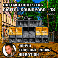 JahYu (Tripedal Crow Records/Hibration Soundsystem) - Digital Soundyard Mix 2020 by Digital Soundyard