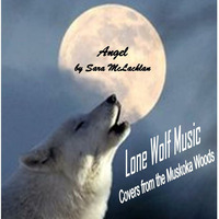 Angel (Sarah McLachlin Cover) by Lone Wolf Music