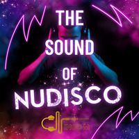 The Sound of NuDisco by Dj IngoM