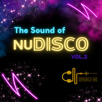 The Sound of NuDISCO  Vol.2 by Dj IngoM