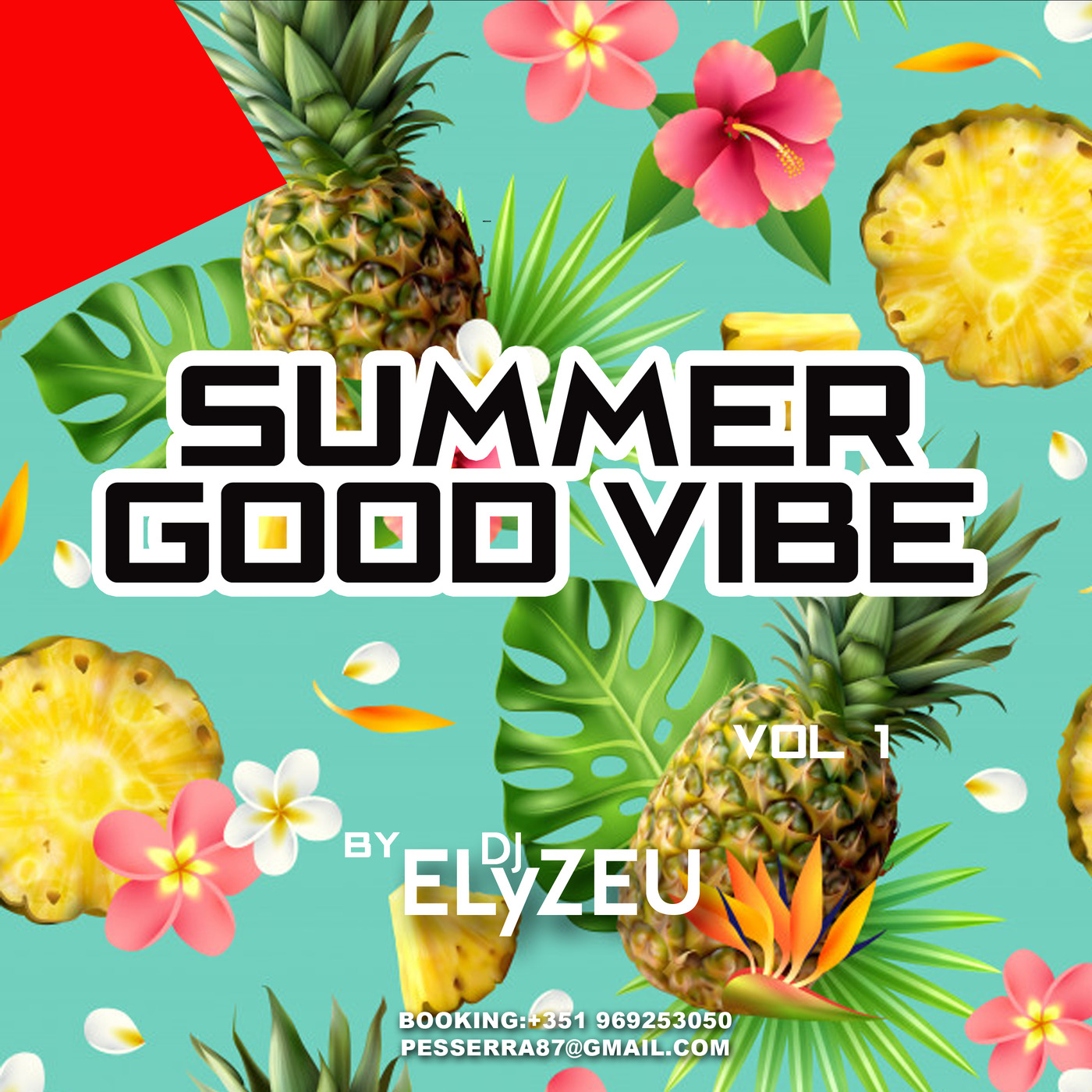 SUMMER GOOD VIBE VOL 1 BY DJ ELYZEU
