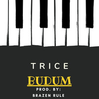 🔥🔥🔥Budum - Trice (Prod. By Brazen Rule)♫♫♫ by Deejay Cross UG