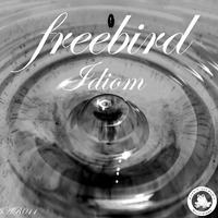 Freebird and Malaude - Weit by Amphibious Audio Recordings