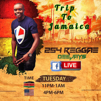 NAS THE DJ -TRIP TO JAMAICA REGGEA MIX by Deejay Nas