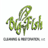 Fish Cleaning &amp; Restoration Service by bigfishcleaning