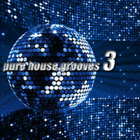 Pure House Grooves 3 by Daz Robinson