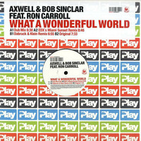 What A Wonderful World 2007 ( Dubby Rmx ) 12&quot; by XENO68