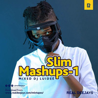 SlimMashUpMixtapes Ep1 by Deejay Luidee