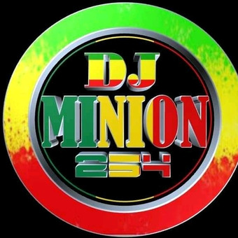 DJ minion 254
