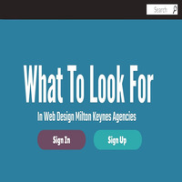 What To Look For In Web Design Milton Keynes Agencies by Joel Robinson