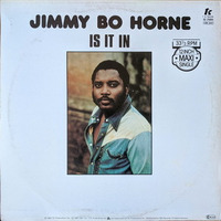 Jimmy Bo Horne - Is It In (Dj Gurge Rework Long BPM 117) by Dj Gurge
