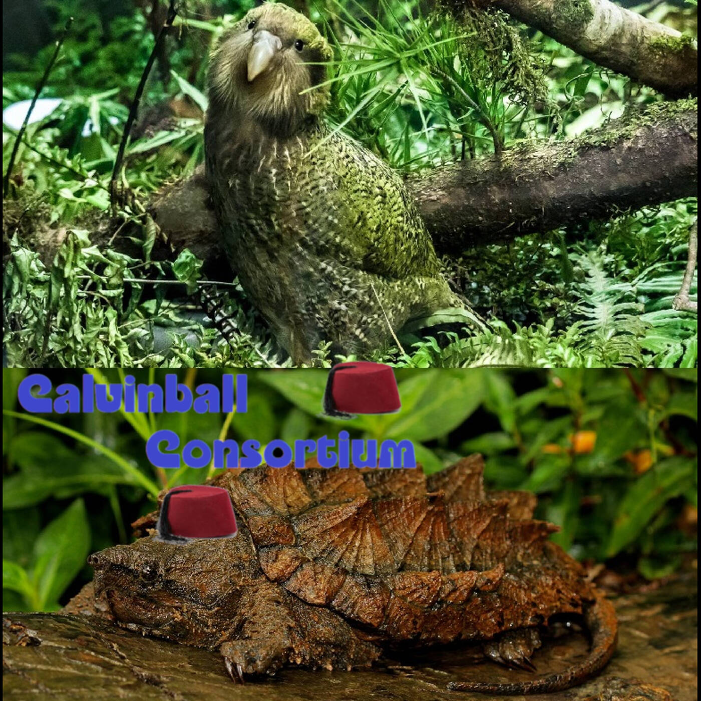 Le bestiaire des besties