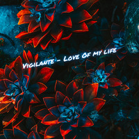 Vigilante - Love of My Life by Vigilante