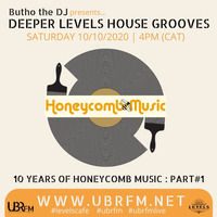 Butho The Dj Presents Deeper Levels House Grooves Show #004 - 10 Years of Honeycomb Music Appreciation mix by Deeper Levels House Grooves by Butho The DJ