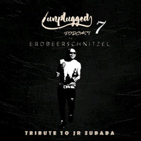 Unplugged Podcast 7 (Mixed By ErdbeerSchniTzel) - [Tribute To Zubaba] by ErdbeerSchniTzeL