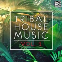 dj ari's style brings you around the tribal , latino, house mix 2 by DJ Ari's style