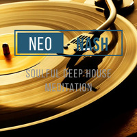 House 213 - SoulfulDeepHouseMeditation ft DJ Couza, Soulfreakah, Dustinho &amp; T-Deep,Newton, ChromaticS, etc by Nash
