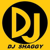 DJ SHAGGY 254 RAGGAE MIX[2021] CALL@0706754744 by Deejay_ Shaggy_254
