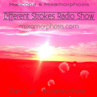 Different Strokes - Show 4 - Part 2 - Mixamorphosis by Mixamorphosis