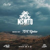 Mshito Social Guest Mix By TDK Kgotso by Mshito Music
