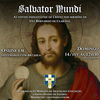 Salvator Mundi - As Fontes Inesgotáveis de Cristo nos Sermões de São Bernardo de Claraval by salvemaria