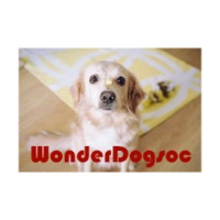 Dog trainer Orange County by wonderdogsoc