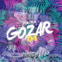 Mix Ponte A Gozar Vol.4 DJKriss by DJKriss